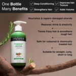 Rosemary Argan Conditioner & Tea Tree Shampoo to Improve Hair Texture - Image 3