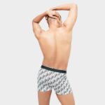 Trunks - Bummer x Santanu - Image 4