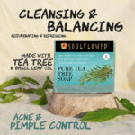 Pure Tea Tree Soap BYOB - Image 4
