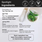 Tea Tree Anti Dandruff Scalp Oil - Image 4