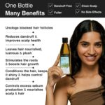 Tea Tree Anti Dandruff Scalp Oil BYOB - Image 3