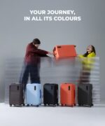 The Aisle Trunk - Set of 3 - Image 8