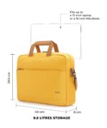 The Briefcase - Image 3