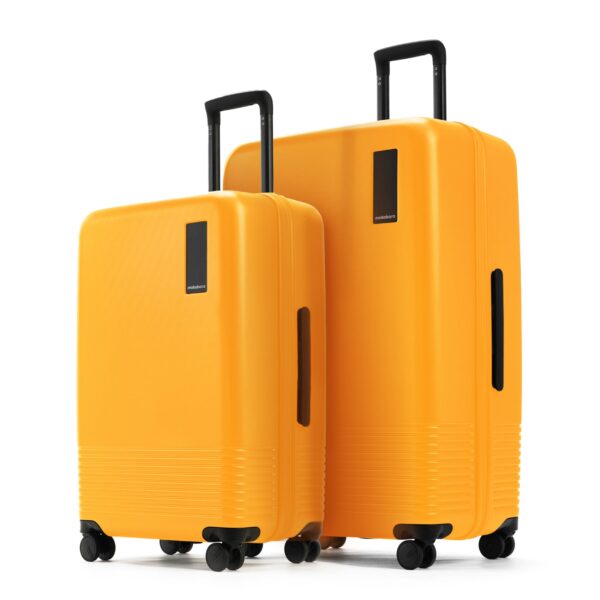 The Iconic Luggage Set of 2 (Check-in Medium + Large)