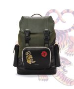 The Leap Year Backpack