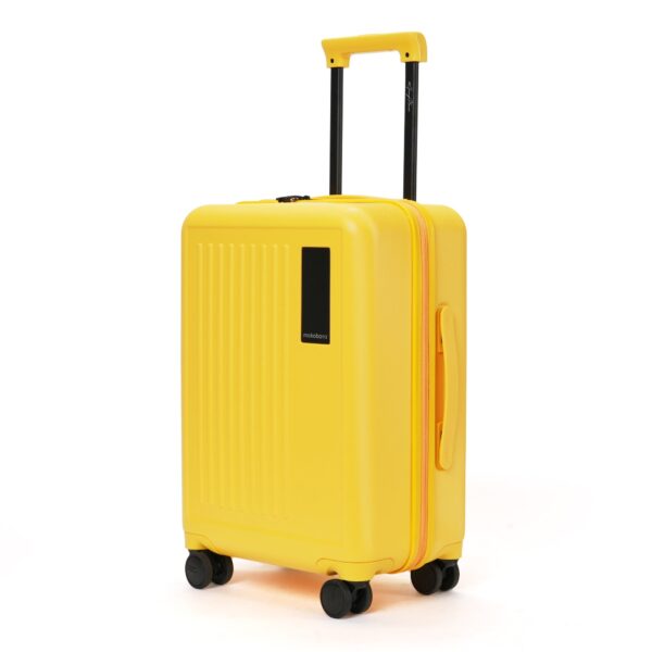 The Transit Wave - Cabin