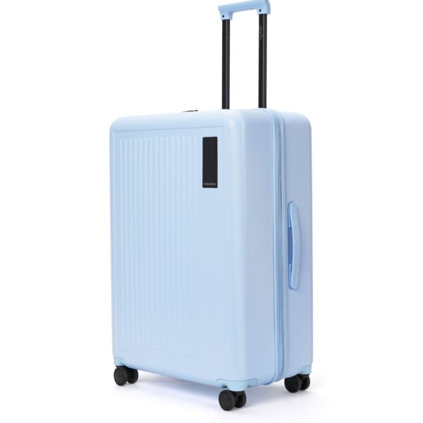 The Transit Wave - Check-in Large