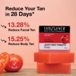 Tan Removal, Acne Control, Glow Boosting Soap Pack - Image 8