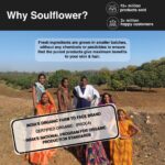 Brightening Sandalwood Scrub + Anti-Tan Tomato Soap - Image 10