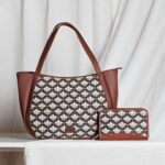 Bidri kaiser - Luna Handbag & Chain Wallet Combo