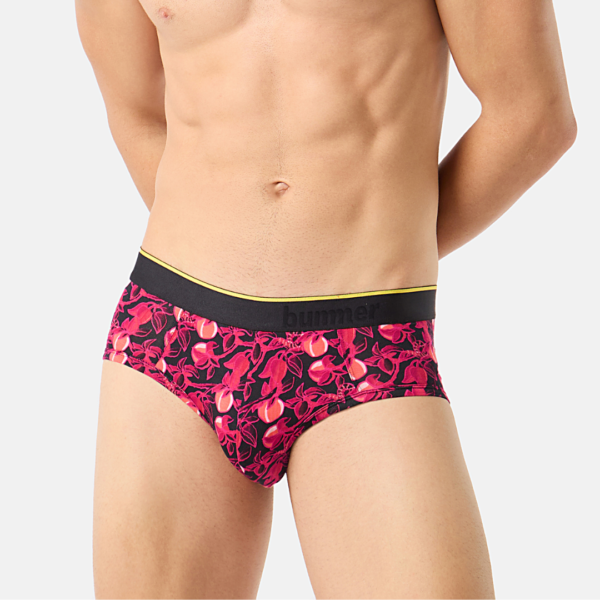 Brief - Garden of Tease