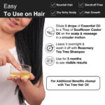 Anti Dandruff Routine for Extreme Dandruff - Image 8