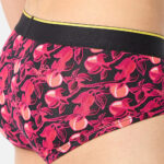 Brief - Garden of Tease - Image 2