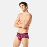 Brief - Garden of Tease - Image 4