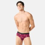 Brief - Garden of Tease - Image 3