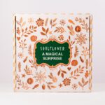 Magical Surprise - Image 2