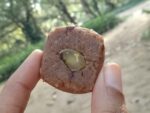 vegan kaju pista sweets