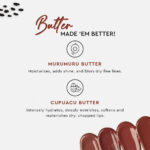 Glossfinity Crème Gloss - Image 6