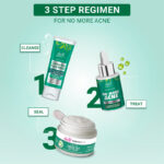 Iba Green Tea Skin Care Regime Combo for Clear Skin - Image 3