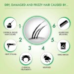 Iba Plant Keratin Shampoo & Conditioner Combo for Smooth Hair - Image 7