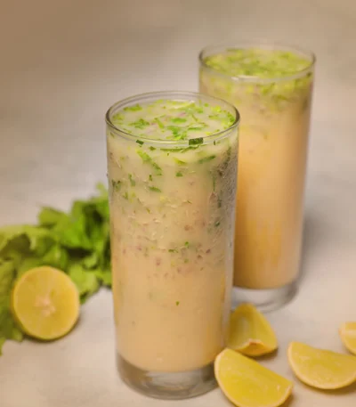 sattu protein mix india
