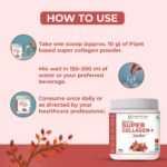Pure Nutrition Plant-Based Super Collagen+ | Power Blend |Vegan Collagen Support - Image 3