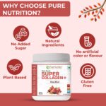 Pure Nutrition Plant-Based Super Collagen+ | Power Blend |Vegan Collagen Support - Image 5