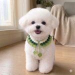 Handmade Crochet Pet Collar