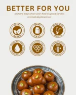 Vegan Gulab Jamun Premix