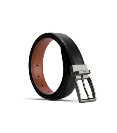 Reversible Belt