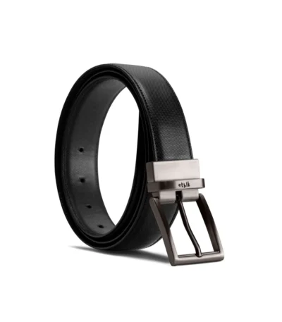 Reversible Belt