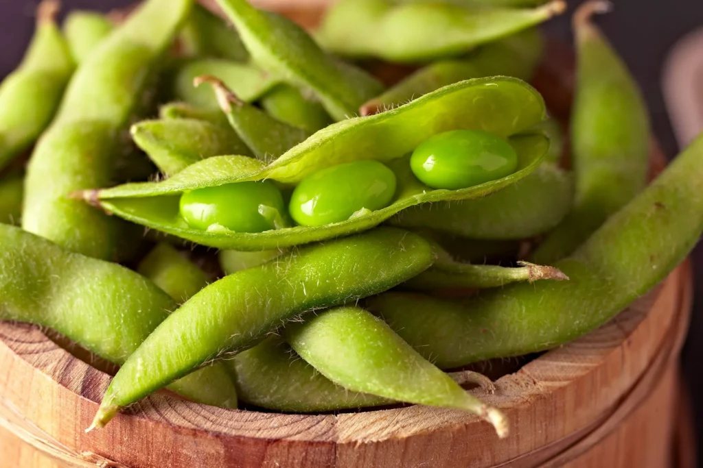 Soyabean