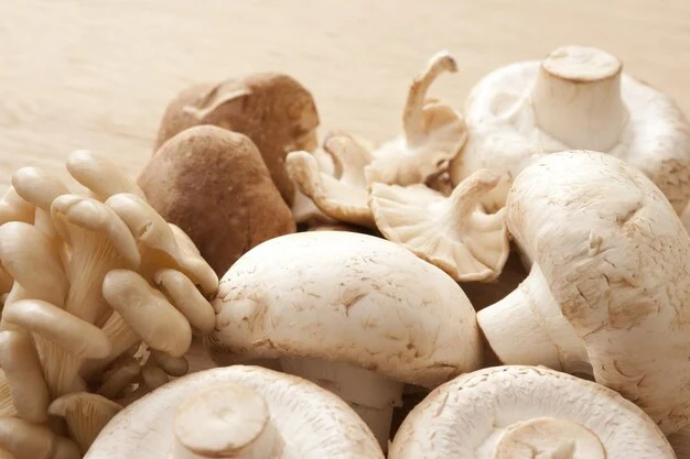 Mushroom