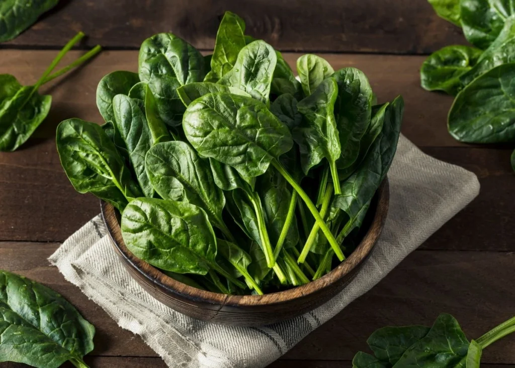 how-to-store-fresh-spinach